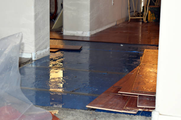 Professional Emergency Water Damage Restoration technician working in Honey Creek, IA